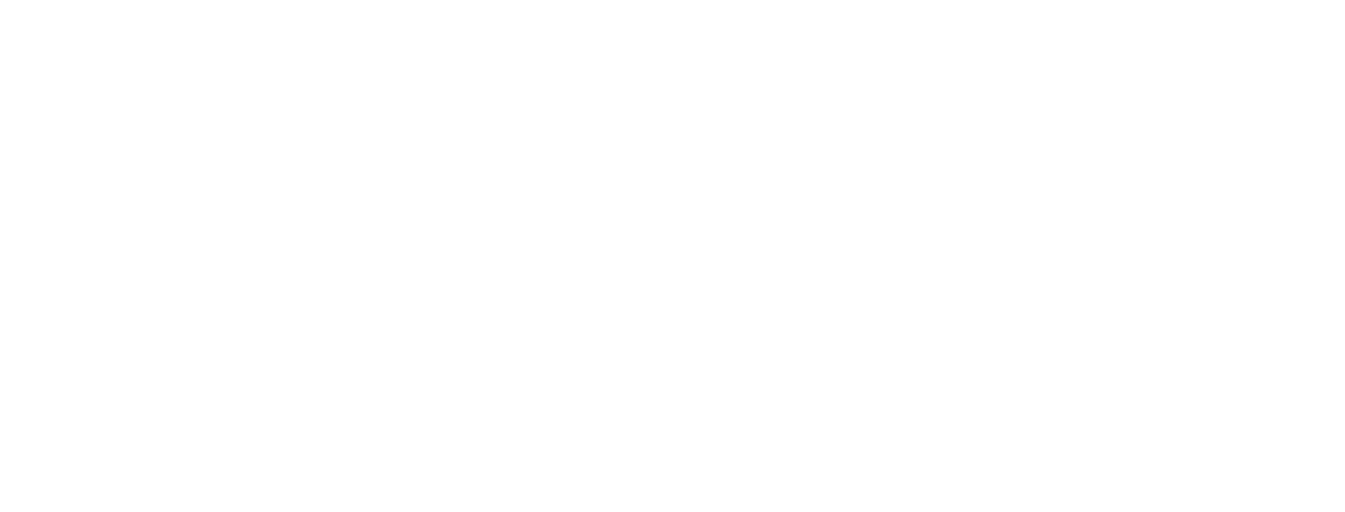 Viseu Payment